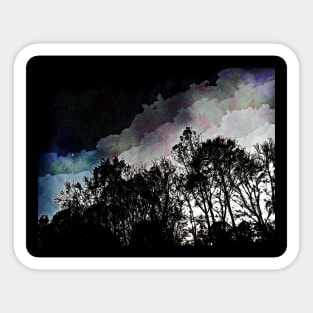 Dark Trees against a dark sky Sticker